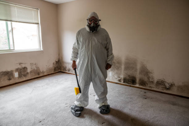 Mold Remediation for Historic Buildings